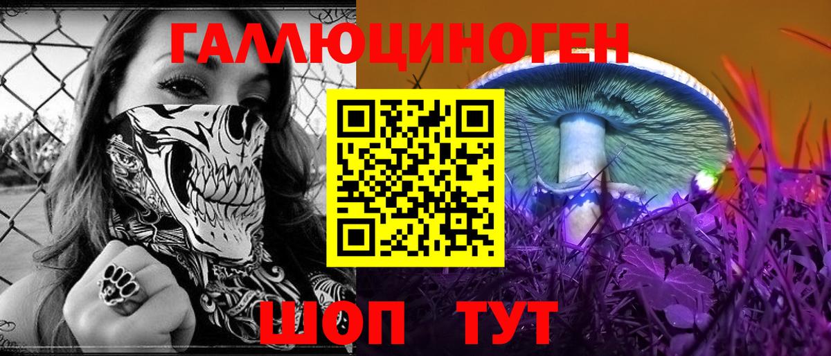 Галлюциногенные грибы Psilocybe Рославль